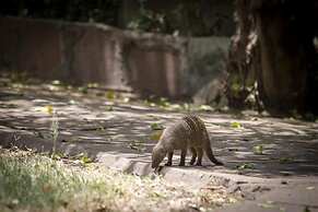 Siana Springs Tented Camp
