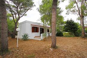 Tenuta la Saracina