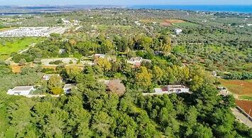 Tenuta la Saracina