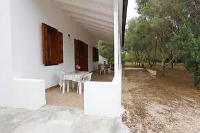 Tenuta la Saracina