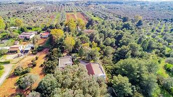 Tenuta la Saracina
