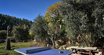 Niflaot Hagalil