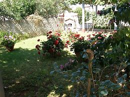 Apartments Violeta
