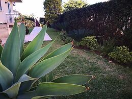 Magnolia