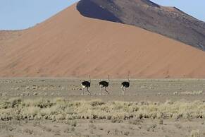 Hoodia Desert Lodge