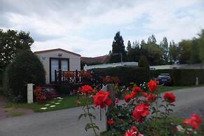 Le Camp des Roses