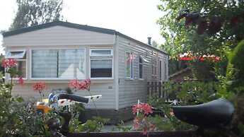 Le Camp des Roses