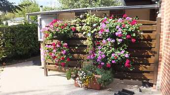 Le Camp des Roses
