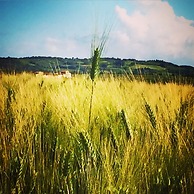 La Locanda del Barbagianni
