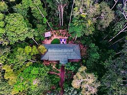 Casa Amazonas