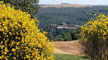 Agriturismo Casa Greppo - Il Mandorlo