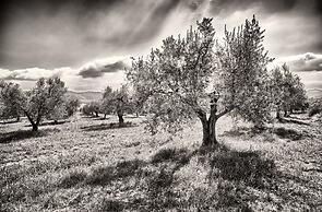 Agriturismo Casa Greppo - Il Mandorlo