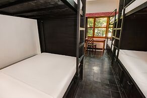 Mad Monkey Phnom Penh - Hostel