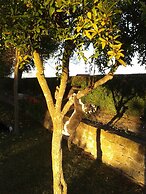 Agriturismo Il Punto Verde