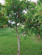 Agriturismo Il Punto Verde