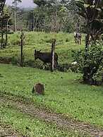 Malekus Mountain Lodge