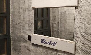 Bluebell