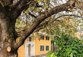 Delle Rose Camping Village