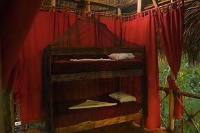 Dominican Tree House