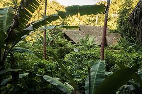 Dominican Tree House