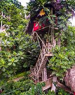 Dominican Tree House
