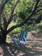 Sakura Beach Garden