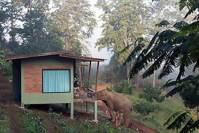 Chiang Mai Elephant Friends