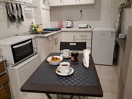 Central Cozy Cute Downtown Studio 1BR