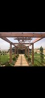 Göbeklitepe Bahce Saray