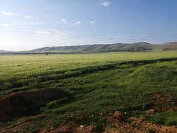 Göbeklitepe Bahce Saray