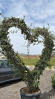 Göbeklitepe Bahce Saray