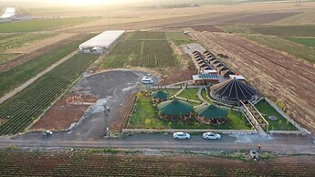 Göbeklitepe Bahce Saray