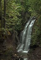 Kootenay Wild
