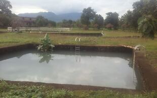 Dream Resort Farm