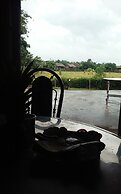 Dream Resort Farm