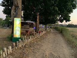 Dream Resort Farm