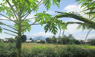 Dream Resort Farm