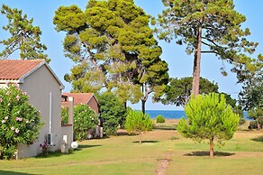 Pinea Mare