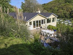 Dolphins