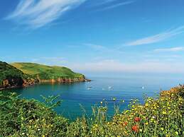 Cove View