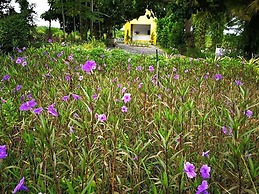 View Dao Jandhra