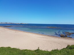 Beach Cove View
