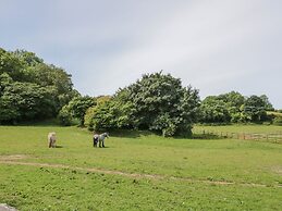 Pen Y Bryn Cottage