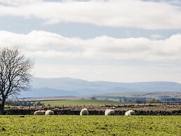 5 Ceirnioge Cottages