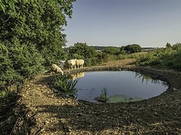 Leys At Valley View Farm