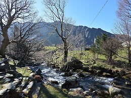 Llwyn Bedw