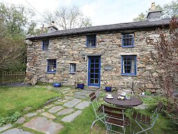Llwyn Bedw