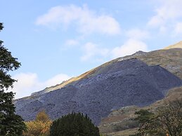 Llwyn Bedw