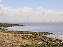 Shorefields Two