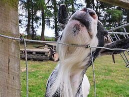 Bellwether